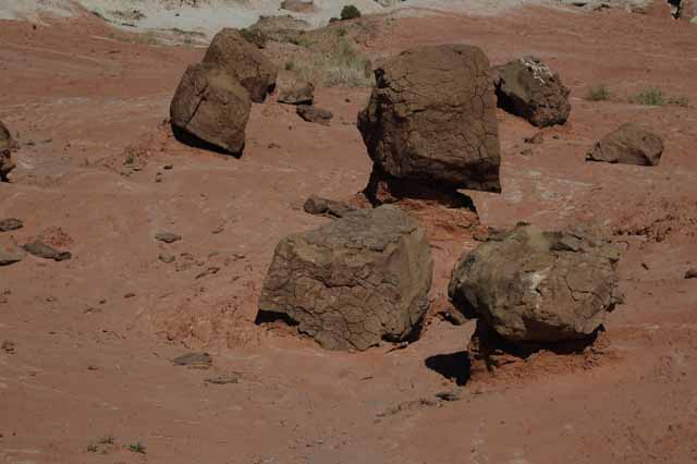 collapsed toadstools